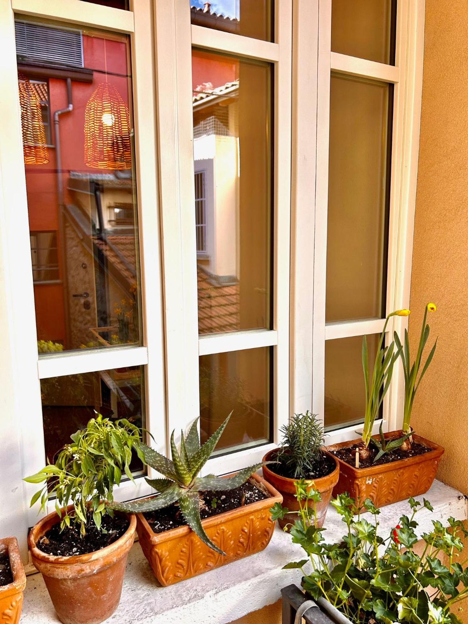 Casa Vacanze Viacoloniola37 โกโม ภายนอก รูปภาพ